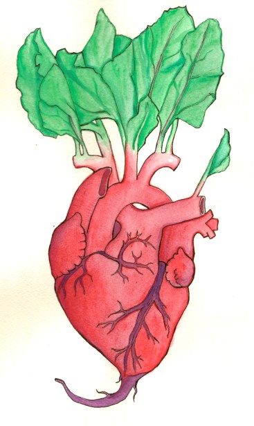 Heartbeet, Ink and gouache on paper, 2013
