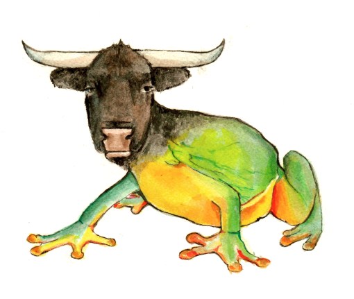 Bullfrog, Ink and gouache on paper, 2013